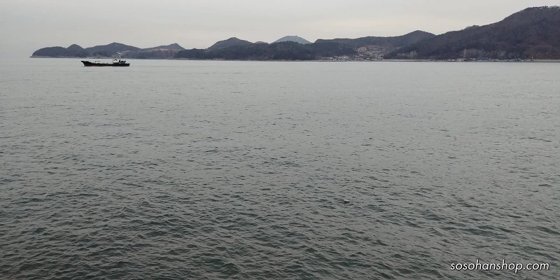 99582E4E5A35C6F12C01AD