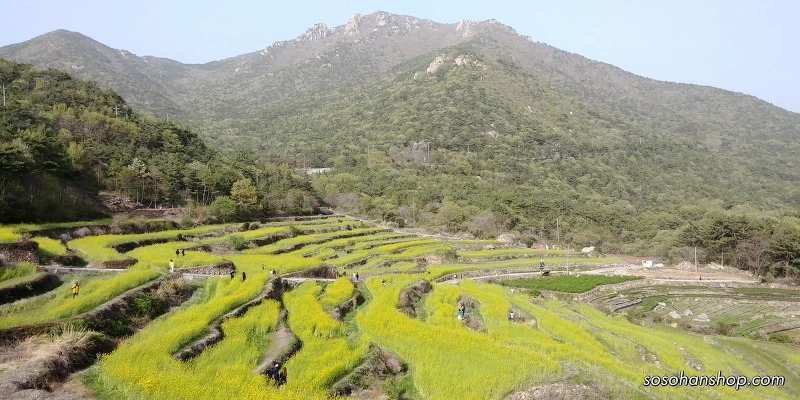 99EE5E385AD3F1E228C1C9