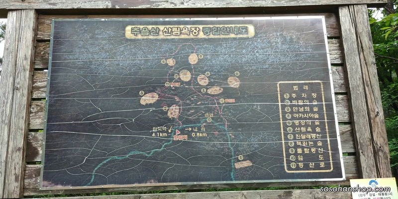 224E6A4E5938F53B04AB2F