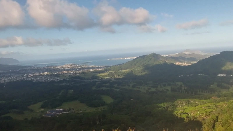 2514094258B54DEF18F909