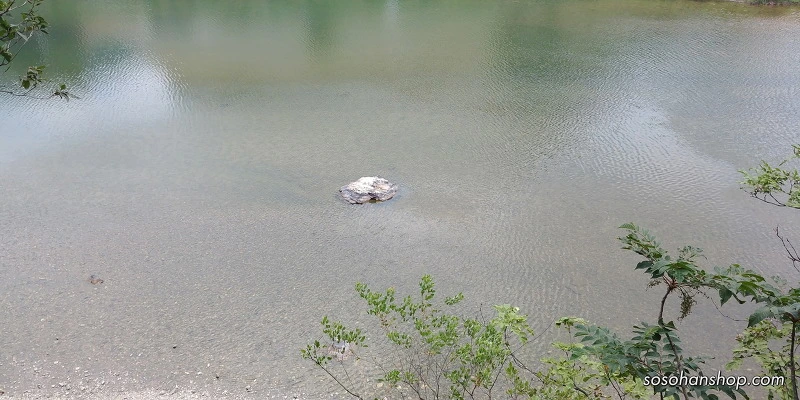 2364E73C59536A4F0696F3