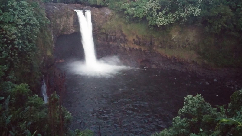 24767A4258ACD71A2DF89D