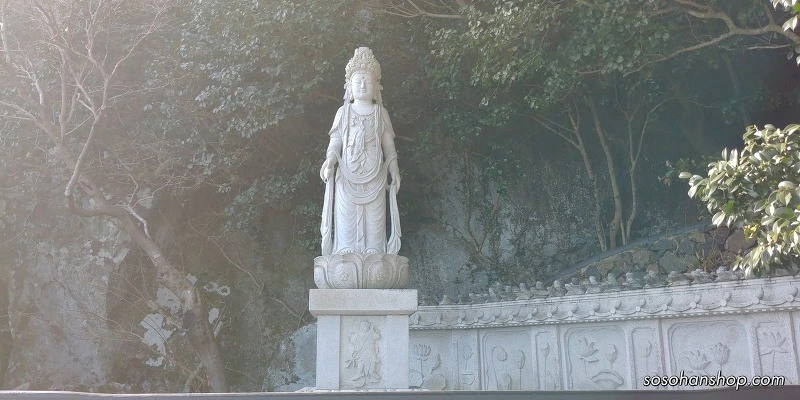 99DB11465A35FA95338C57