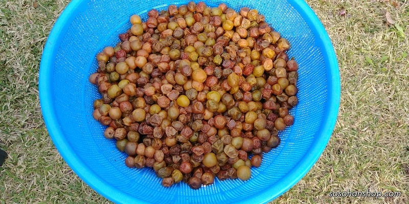 2475D735590851773B8663