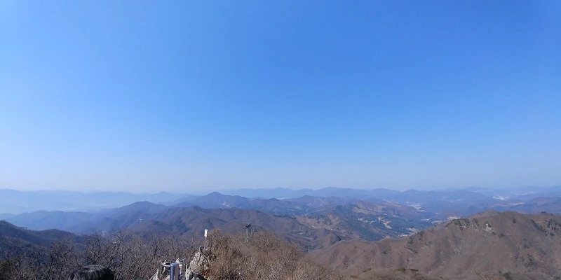 242DB04558C8E04B0654A6