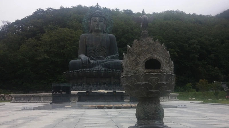 22322A43577F8D9436A84B