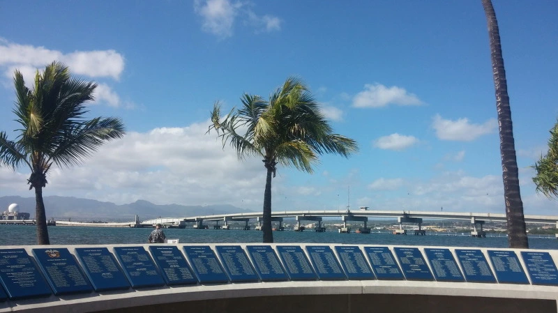 2605543858A8DFB61A1694