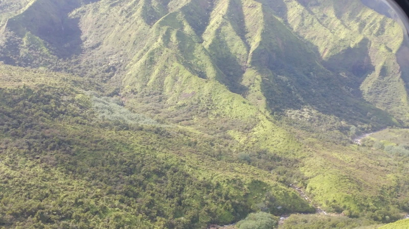 27347C4458B52CD72E5F1C