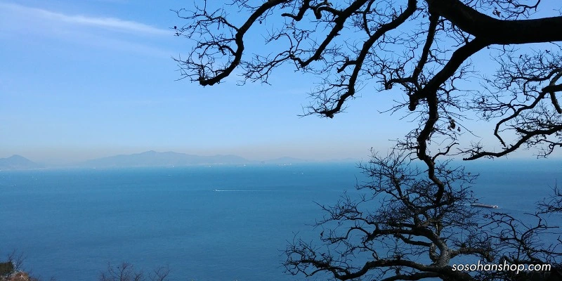 9964AB495A35FADA33996D