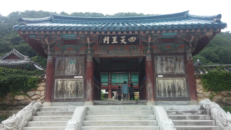 2116903C577F8D81145218