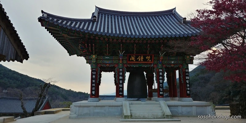 9977C64E5A361462154C01