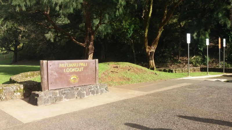 2409B93D58B54C561156E5