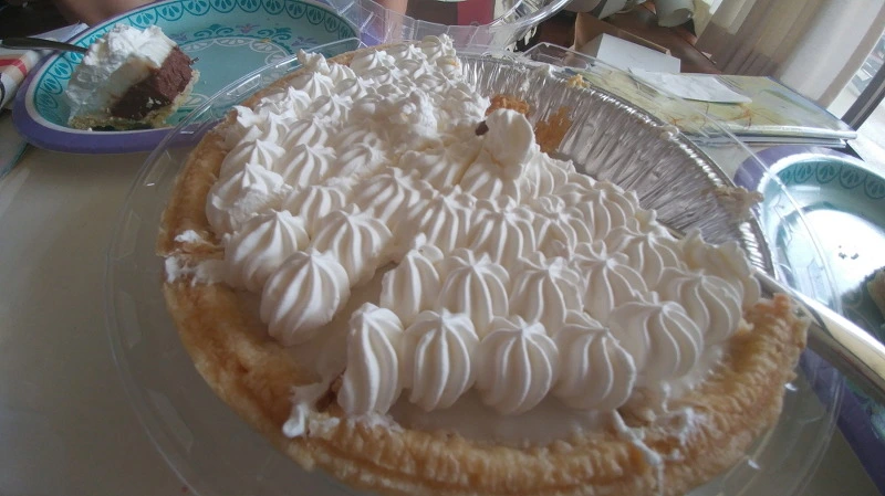 241A5C4658B54D731FA223