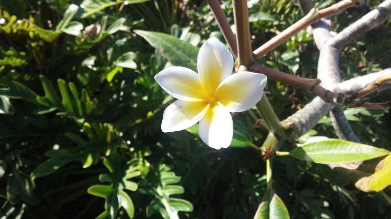 2354DE3E58A9247D397F1A