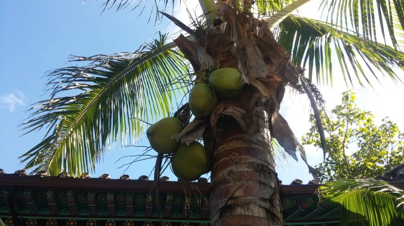 217ADD3958A8DFBD13CCC6