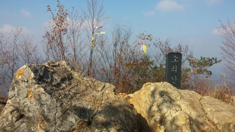 2579EA4E5821C80A2CF017