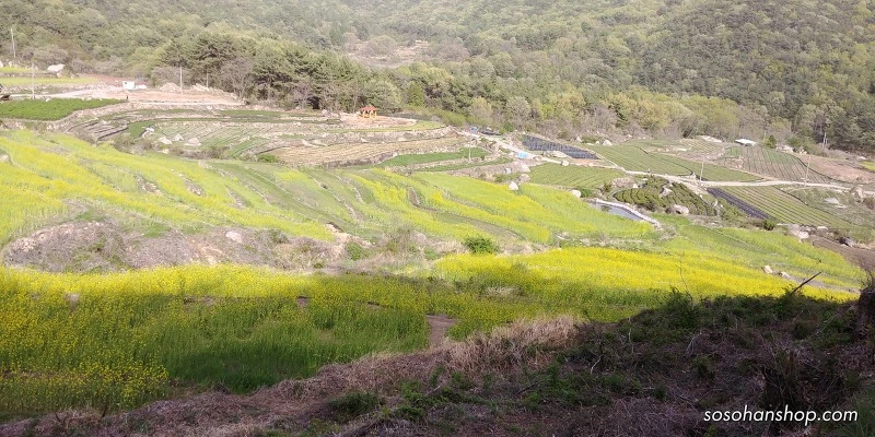 99F6C9385AD3F1DE0443D9