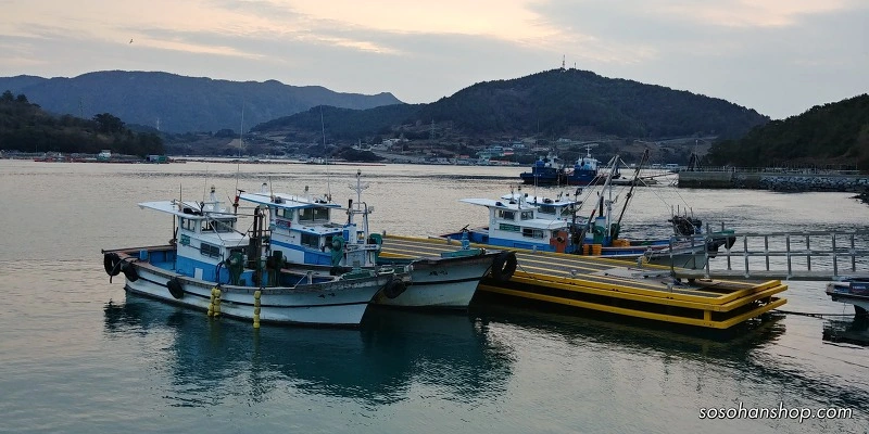 999EC2485A35FC11354496