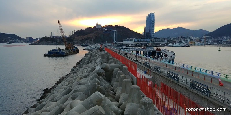 99814A4E5A35C6E8019242