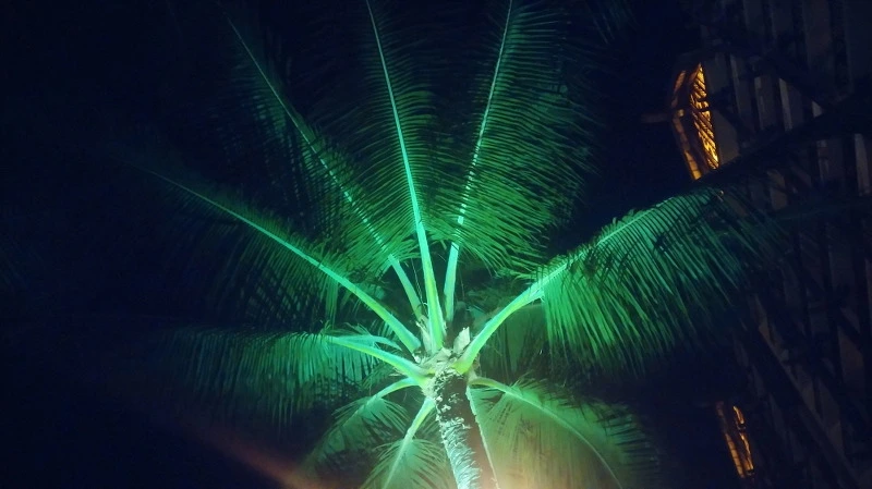 22640A4658B54C8A0FC375