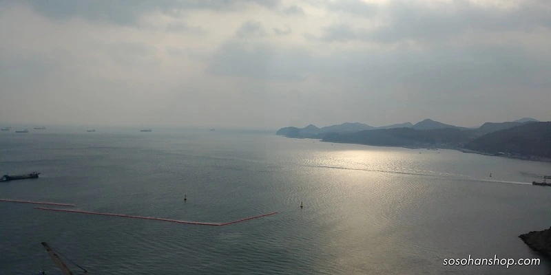 992E0C4D5A361162385938