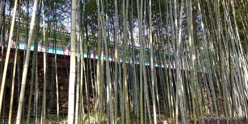 99E030505A3611D11AF056