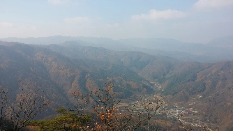 241C3E4E5821C8120276CF