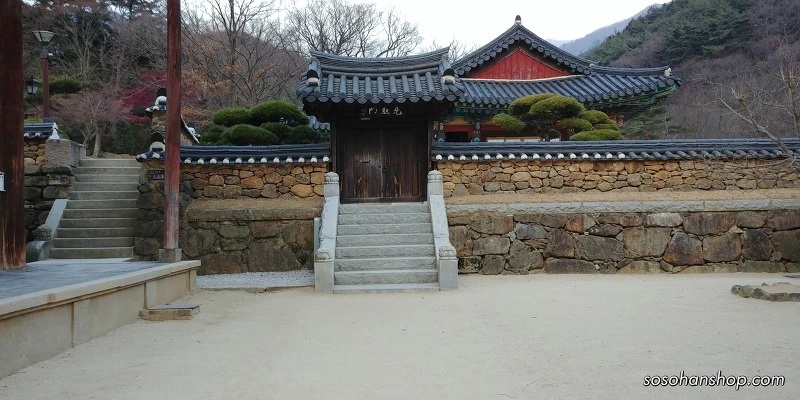 992C4C435A36148C110244