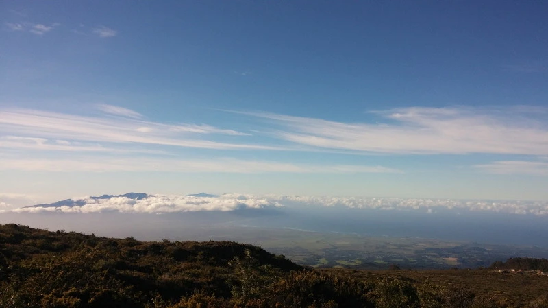 2774593A58ACD76716E89F