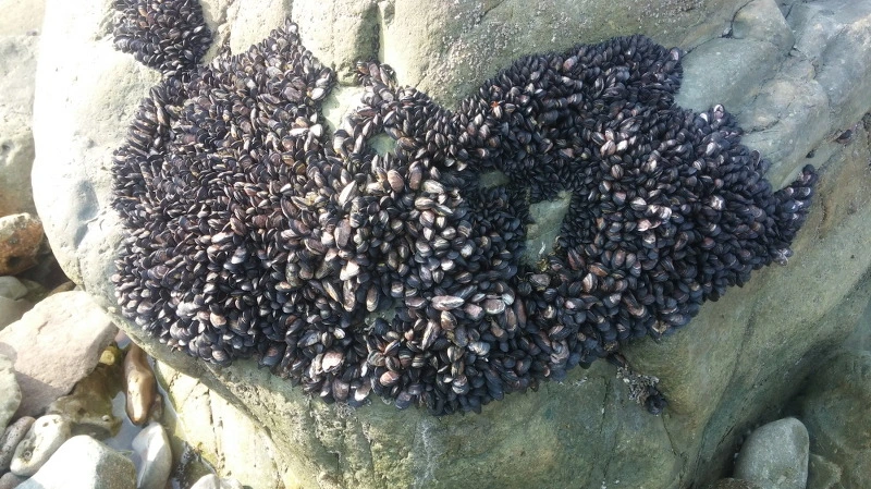 2128713C58B37197208C71