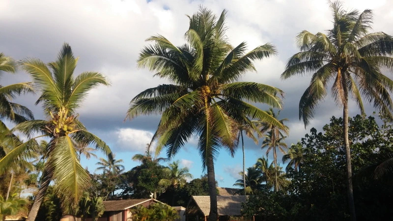 277C5E3E58A9247F32AC1F