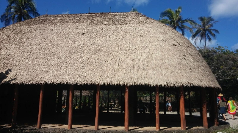 230EDD3E58A9245A0DFB27