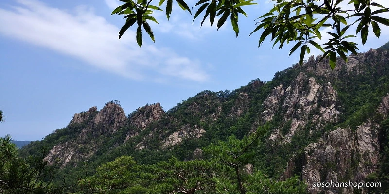 261E0E3F595CE7510EC2C7