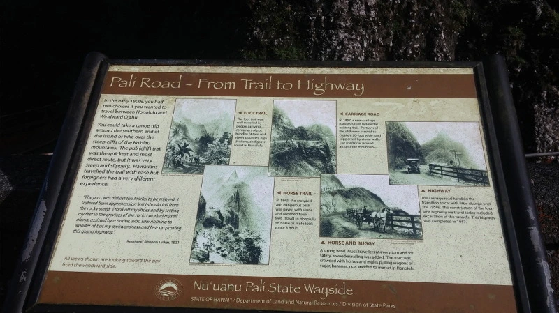 262BEA4658B54C5D098373