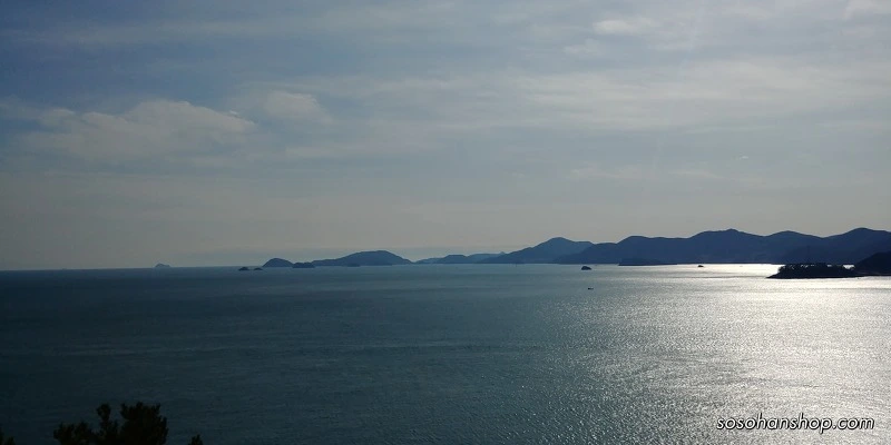 99D123475A35FB372B2245