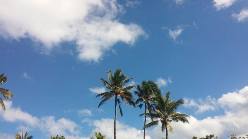 2520473E58A9246405F055