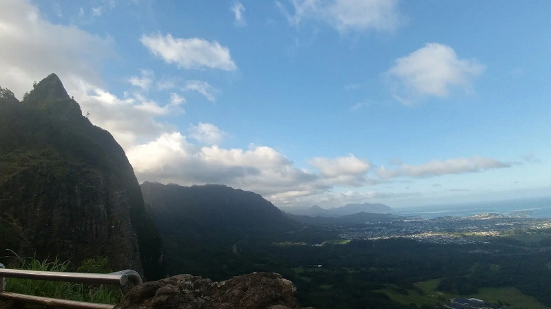 23533D3E58B54E02054183