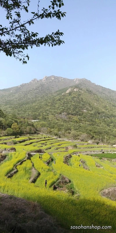 99665A375AD3F1FA2CCFC9