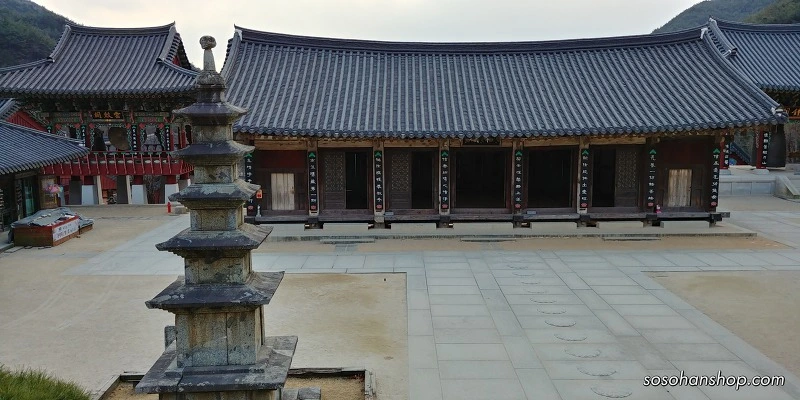 99253D4D5A36146A1B499B