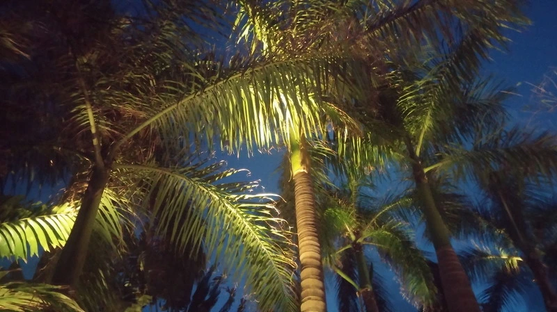 2444EE4458A924A52BB624