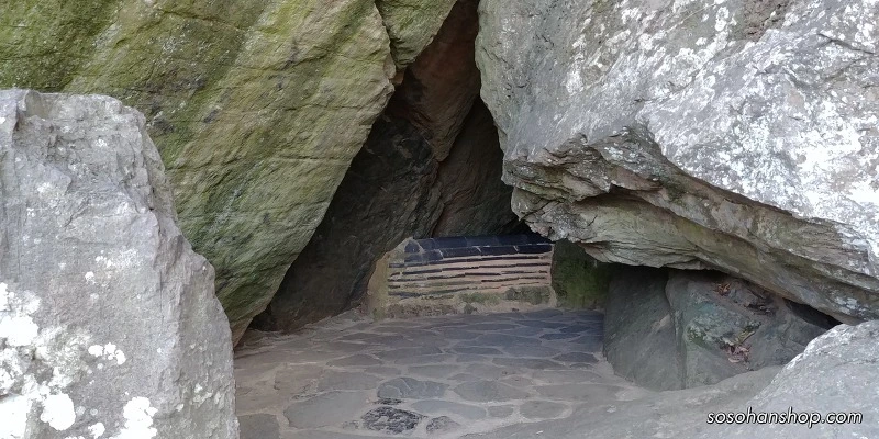 998895435A35F9C81DEDE1