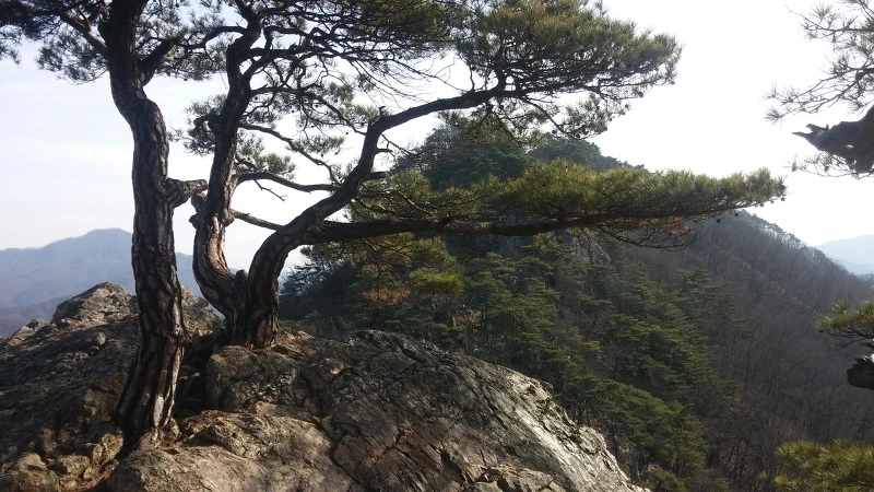 267C224B58359E63347F68