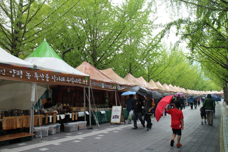 2344D045572C3BF1205E8C