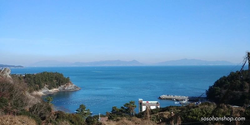 99B1C94E5A35F90D232839