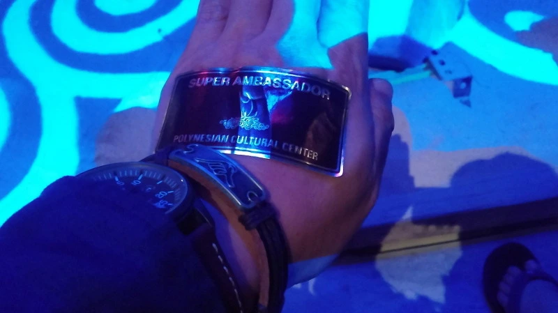 212F0D4458A924A61E45C7