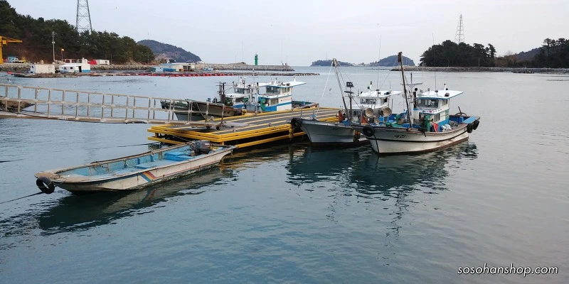 990DBA495A35FBE404F90F