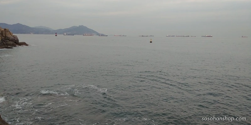 9965594E5A35C6EF2935D6