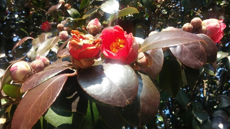 215D0E3558B3718A1DAD84