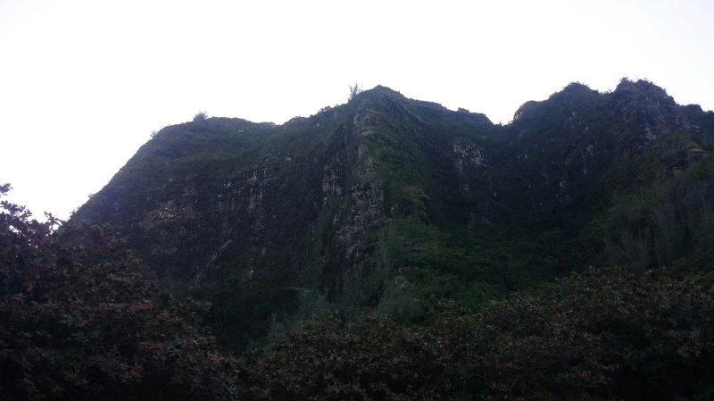 275DE43858B529302721EA