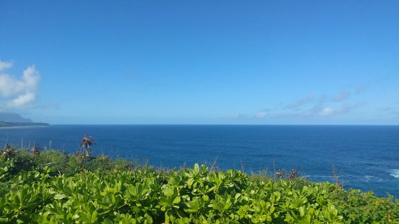 21691A4158B52BF72A096E